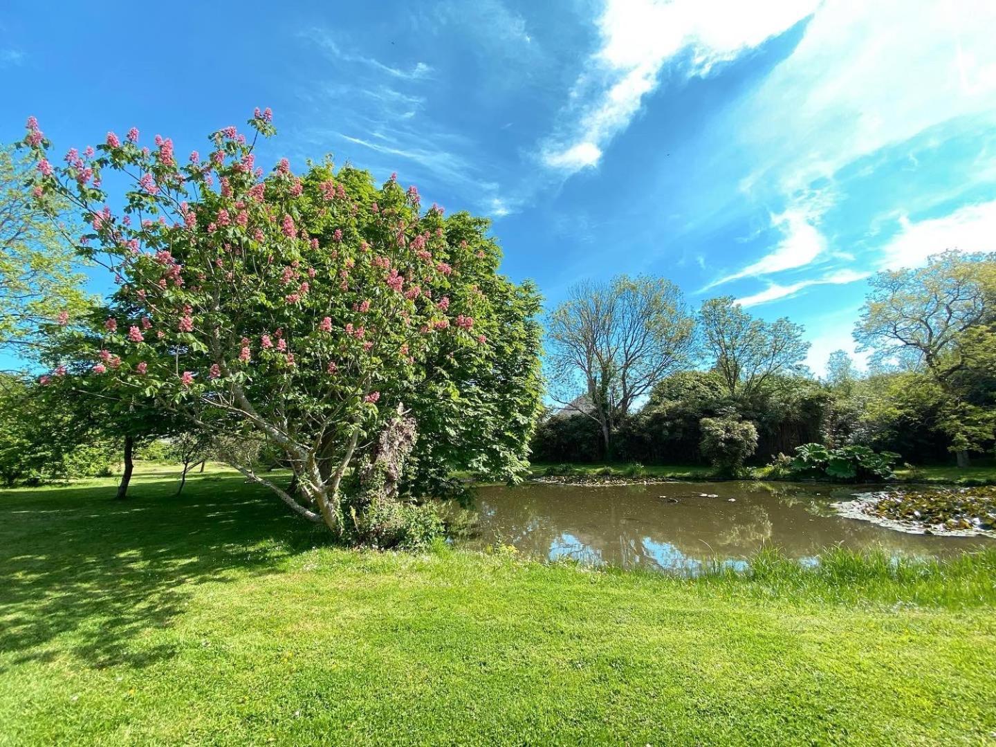 Chambres D'Hotes & Gites - Domaine Les Sources Portbail Exterior foto